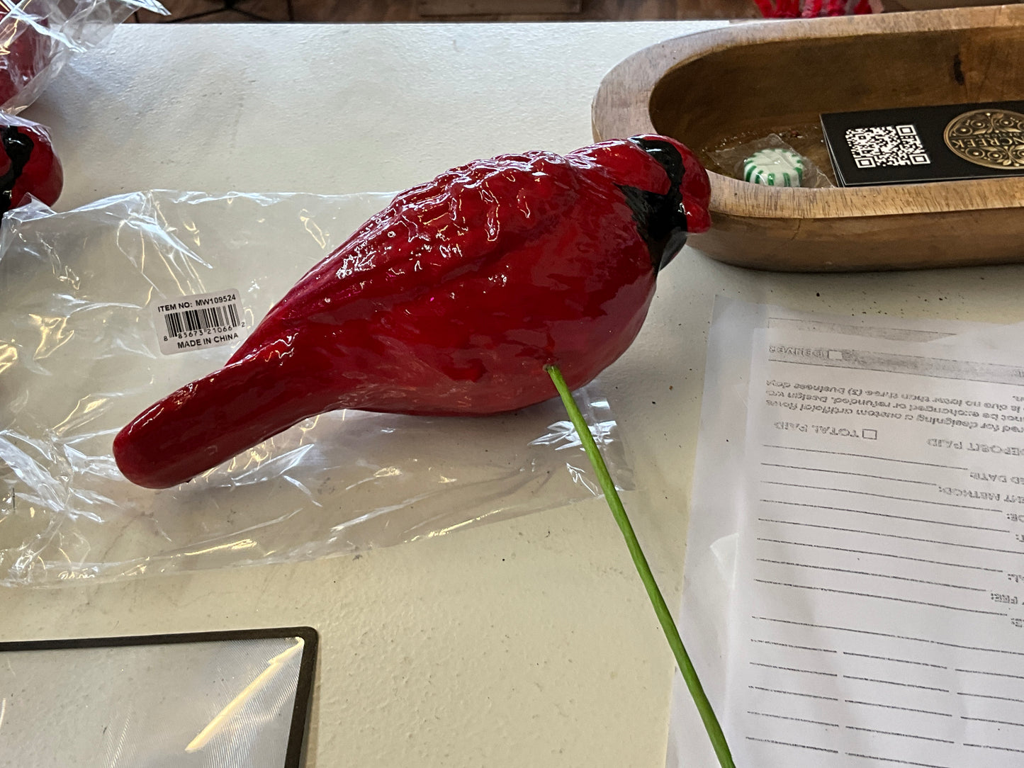 Big red cardinal /pick