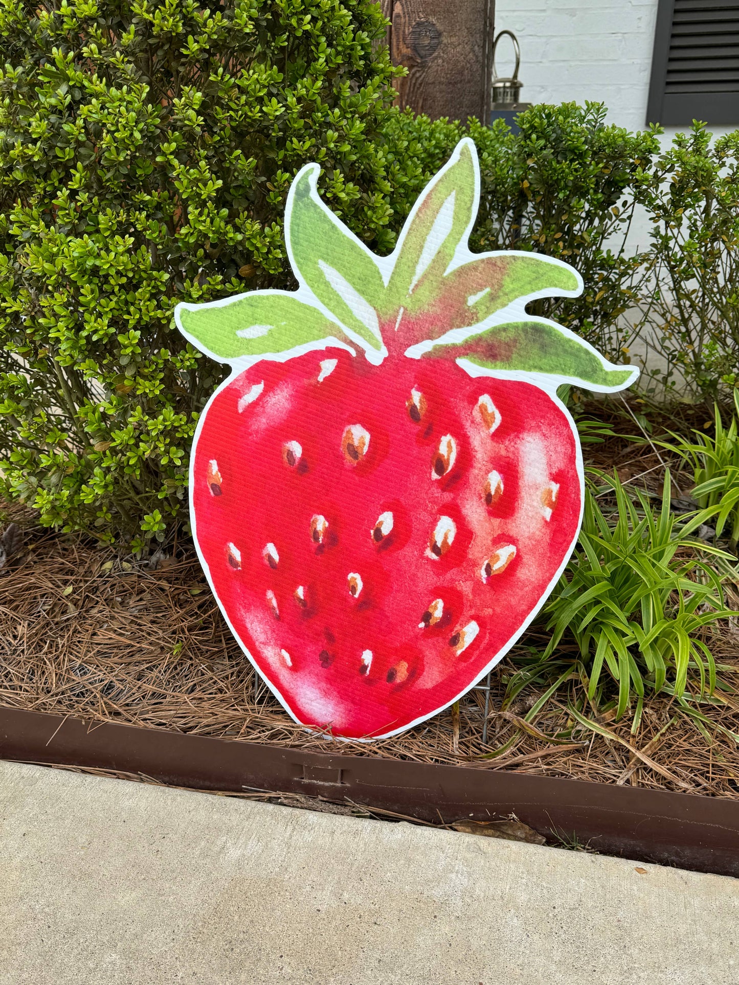 Strawberry Love : Flower Pot