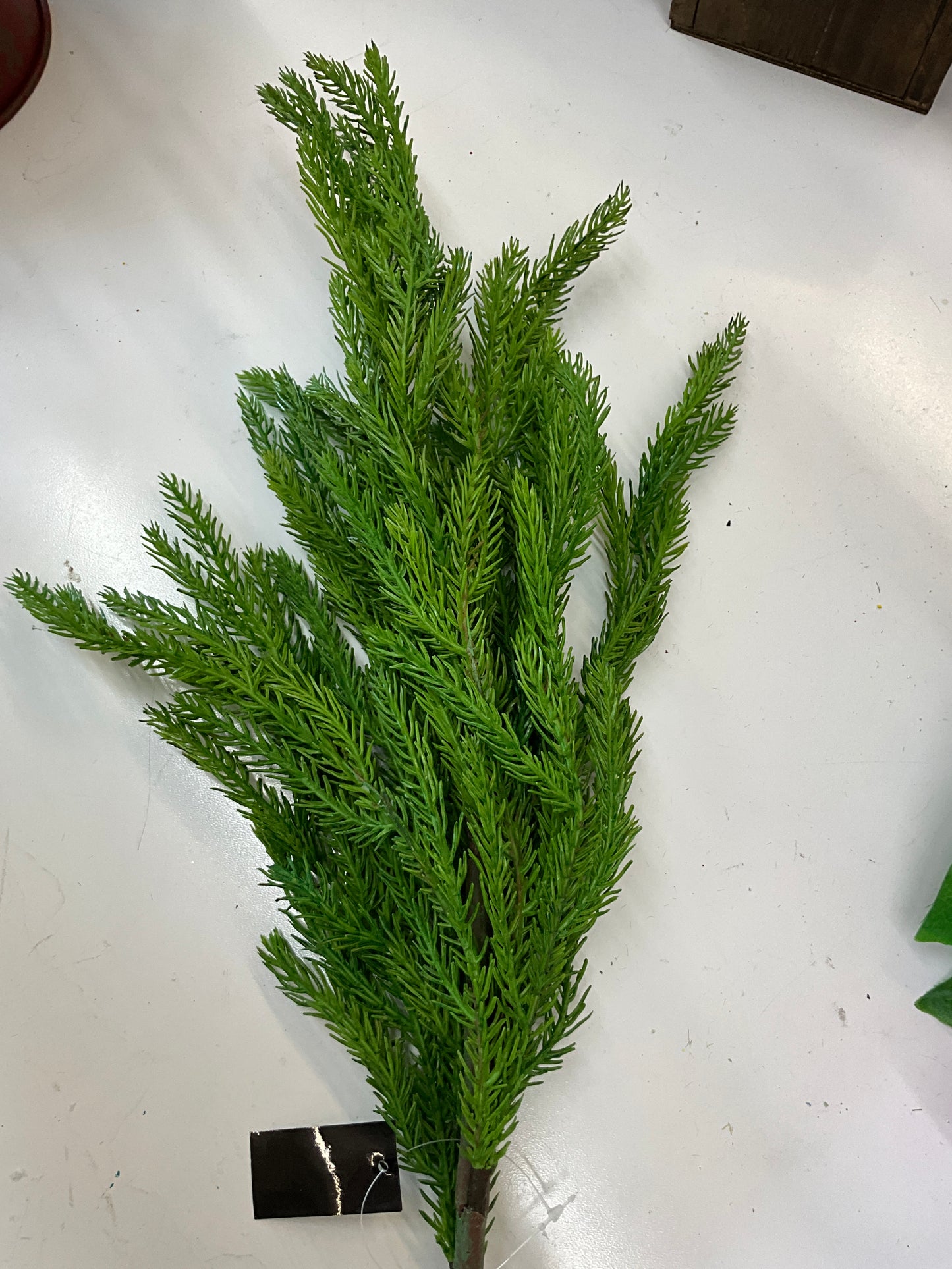 29” Real Touch Norfolk Pine Stem