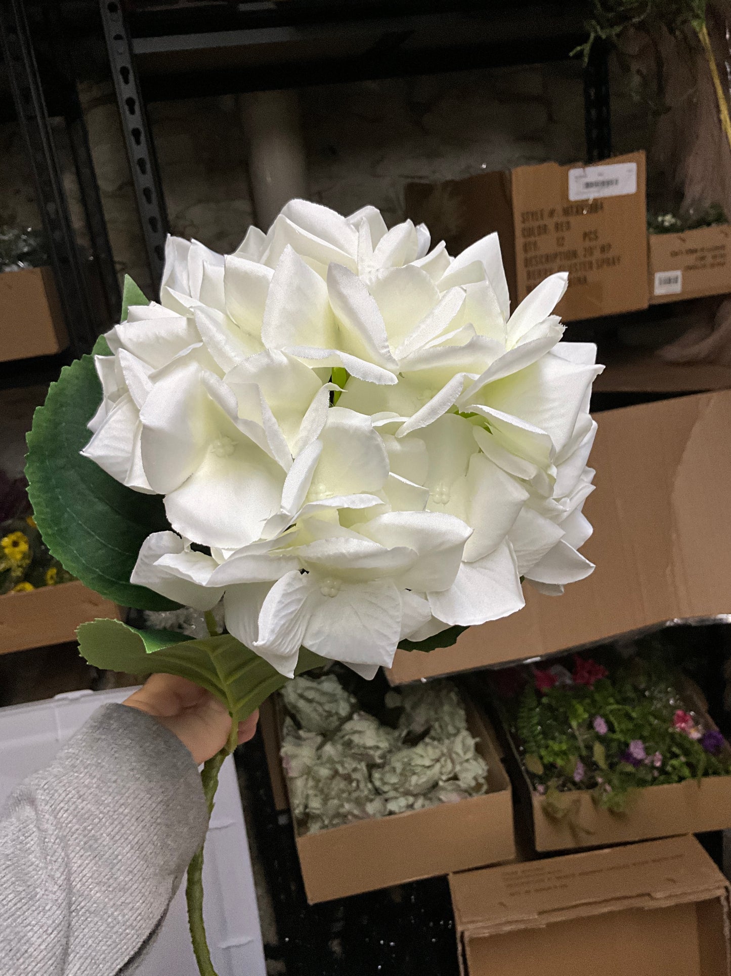 22.25" Hydrangea Spray White