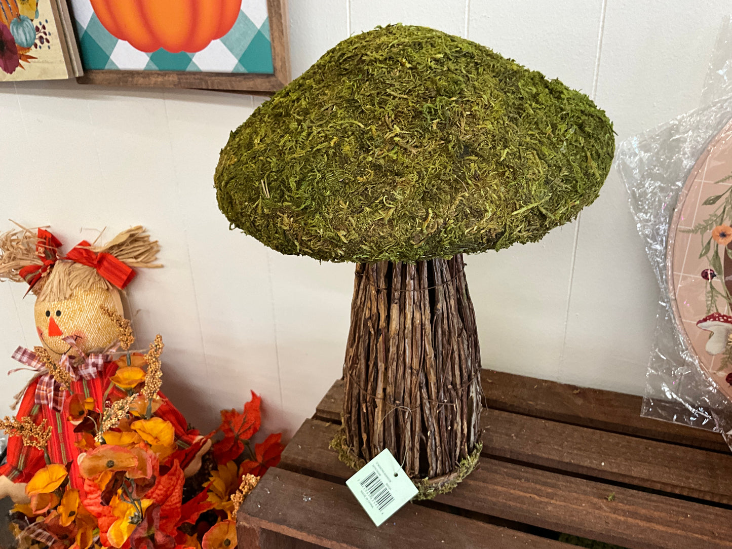 12” moss /TWIG mushroom