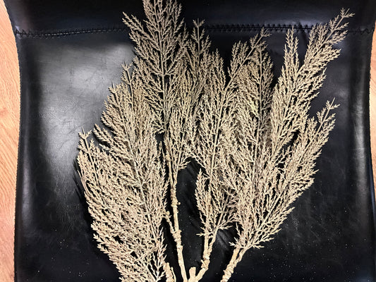 29” Cedar spray - CancreekDesigns