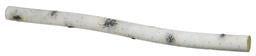 BIRCH STICK, 39", WHITE