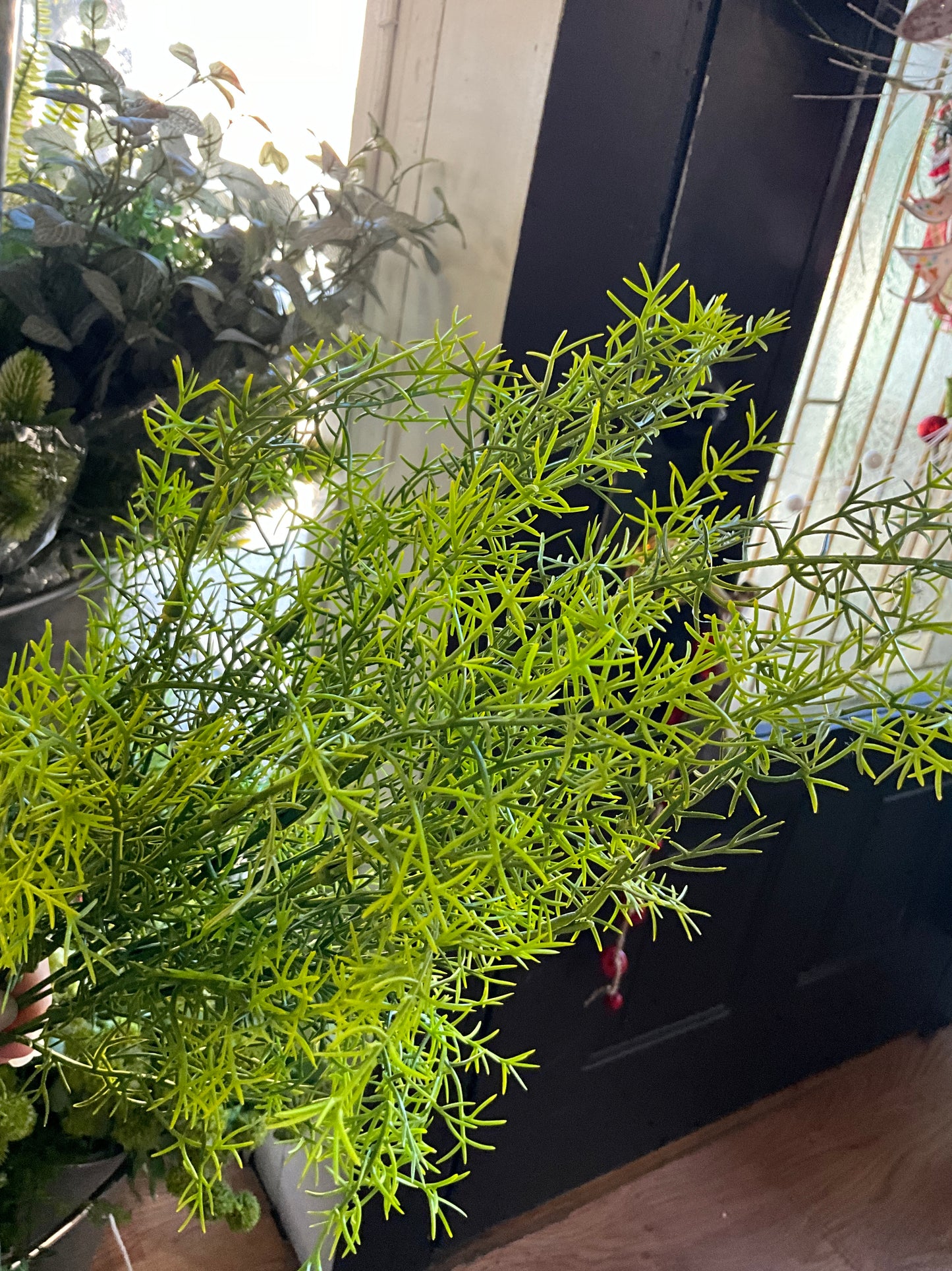 Asparagus fern pick - CancreekDesigns