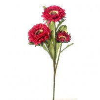 Aster spray - CancreekDesigns