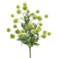 PL ECINOPOS BUSH 20" GRN - CancreekDesigns