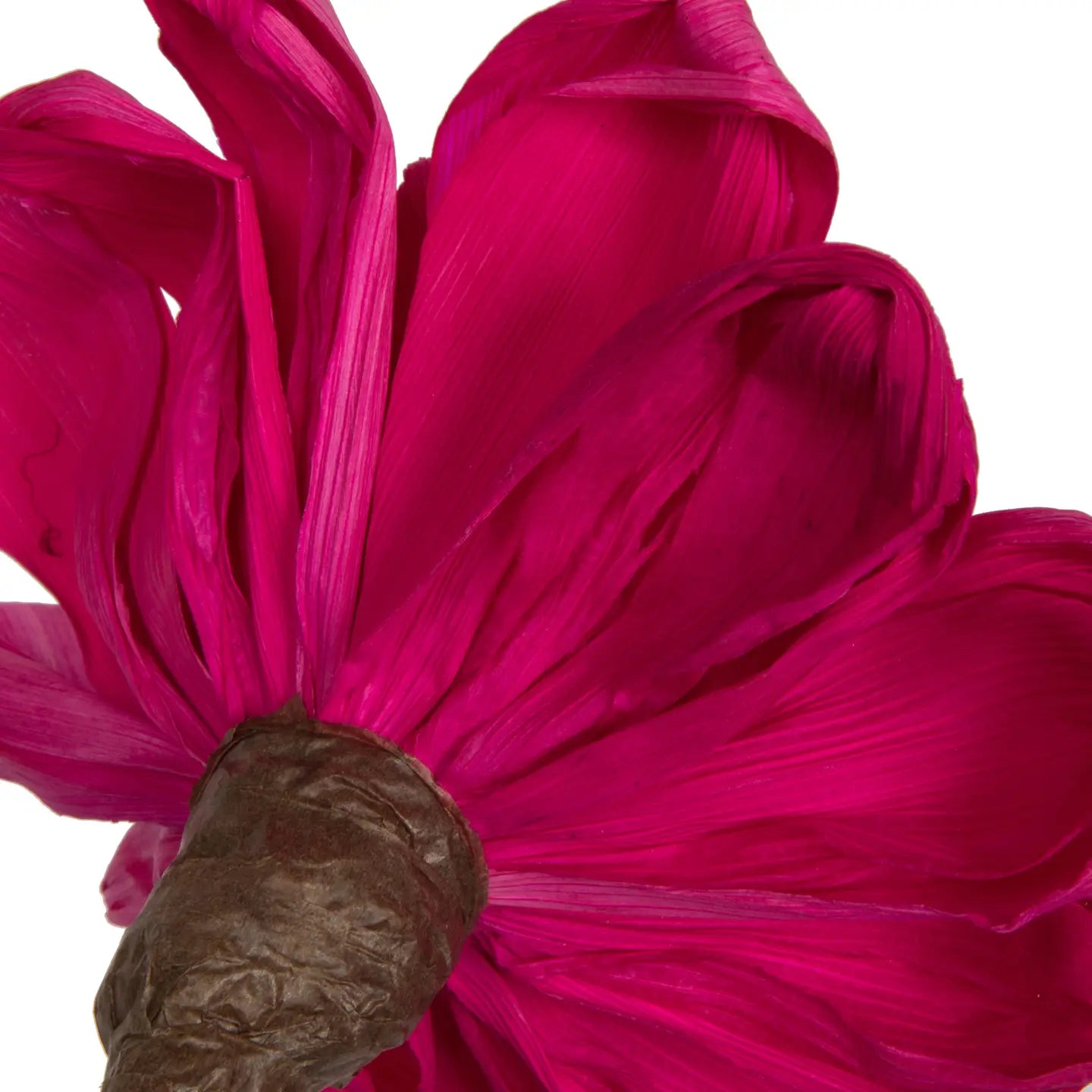 Natural Botanicals Raspberry Maize Dahlia - CancreekDesigns