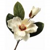 MAGNOLIA & BUD PICK 14"