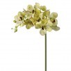 JUST CUT VANDA ORCHID SPRAY 27"