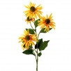 ECHINACEA X3 +2 BUDS 29"