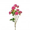 25" SUMMER GARDEN RAMBLIN ROSE STEM
