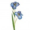 SPOTTED IRIS X2 + BUD 35"