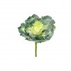 RUFFLE KALE PICK 7"D