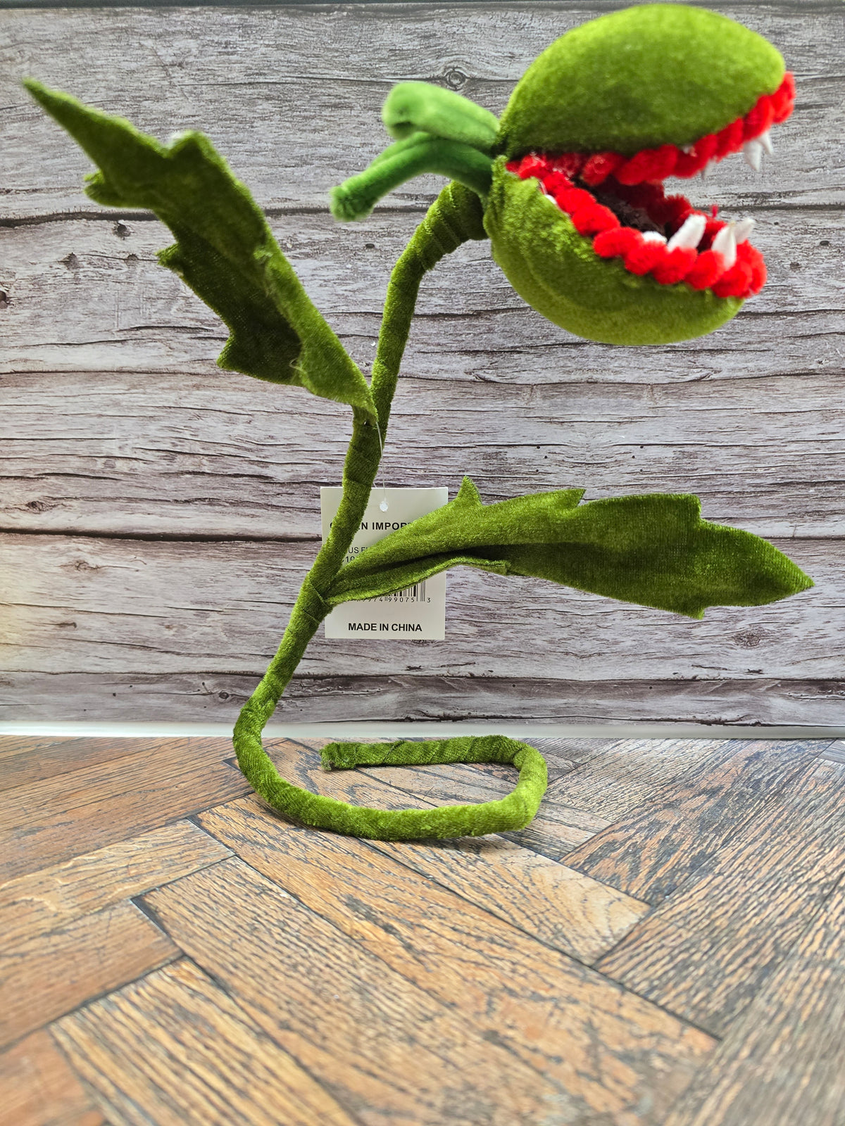 Venus flytrap