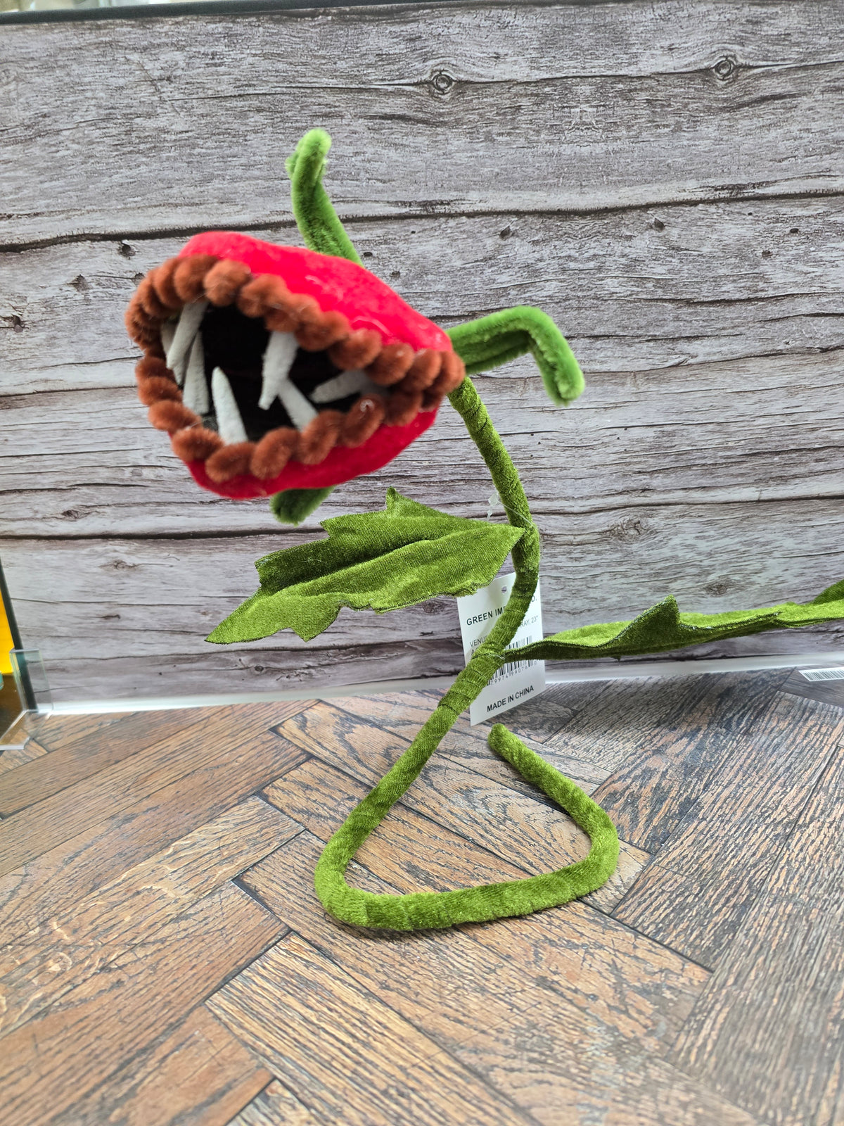 Venus flytrap