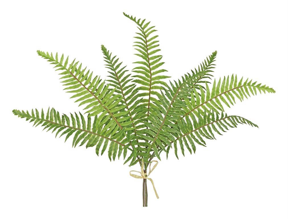 Soft Touch Sword Fern Bundle, #FL6433-G