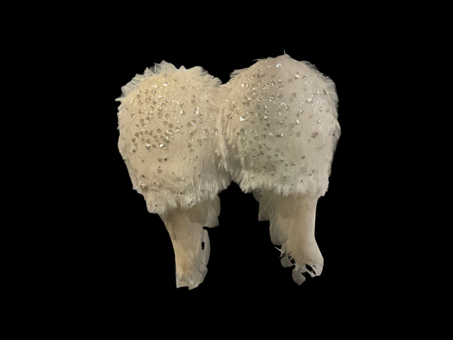 Angel Wings - CancreekDesigns