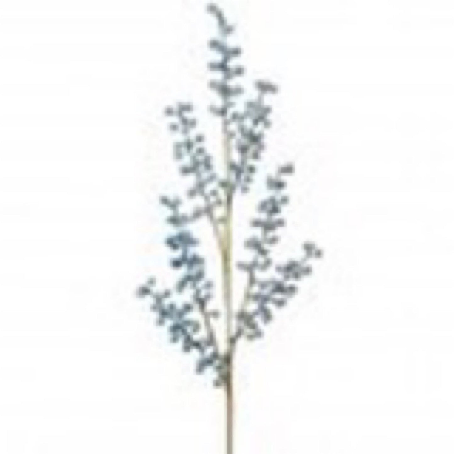 Easter berry spray blue - CancreekDesigns