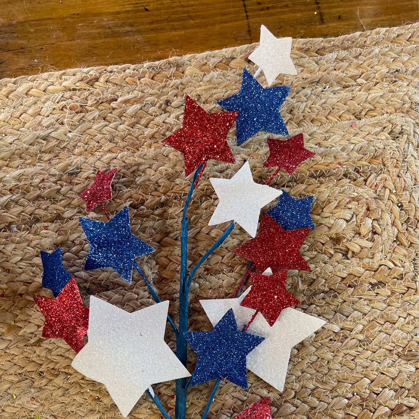 Red white blue star - CancreekDesigns