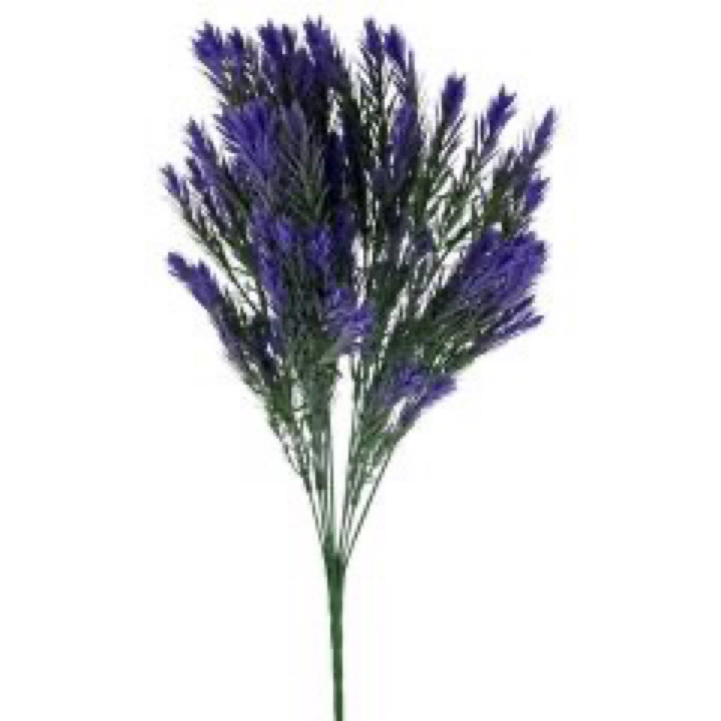 X10 SPIKE 17" PLASTIC - PURPLE - CancreekDesigns