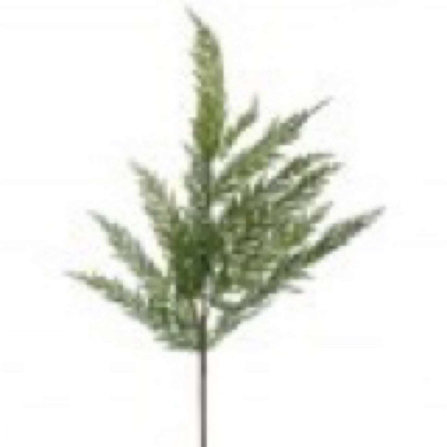 36 inch real touch, cedar spray - CancreekDesigns