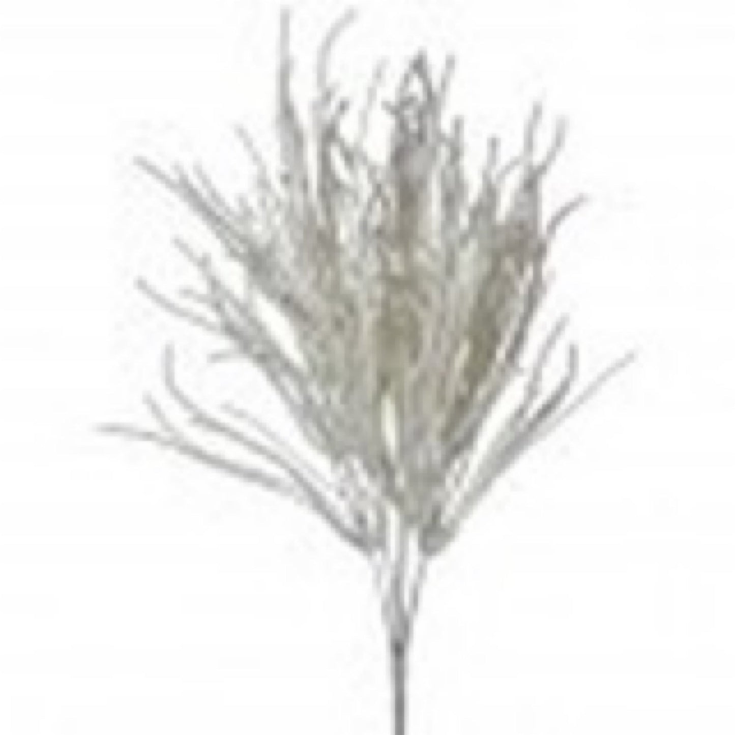15" WINTER GLITTER SEAGRASS BUSH Color: WHT - CancreekDesigns