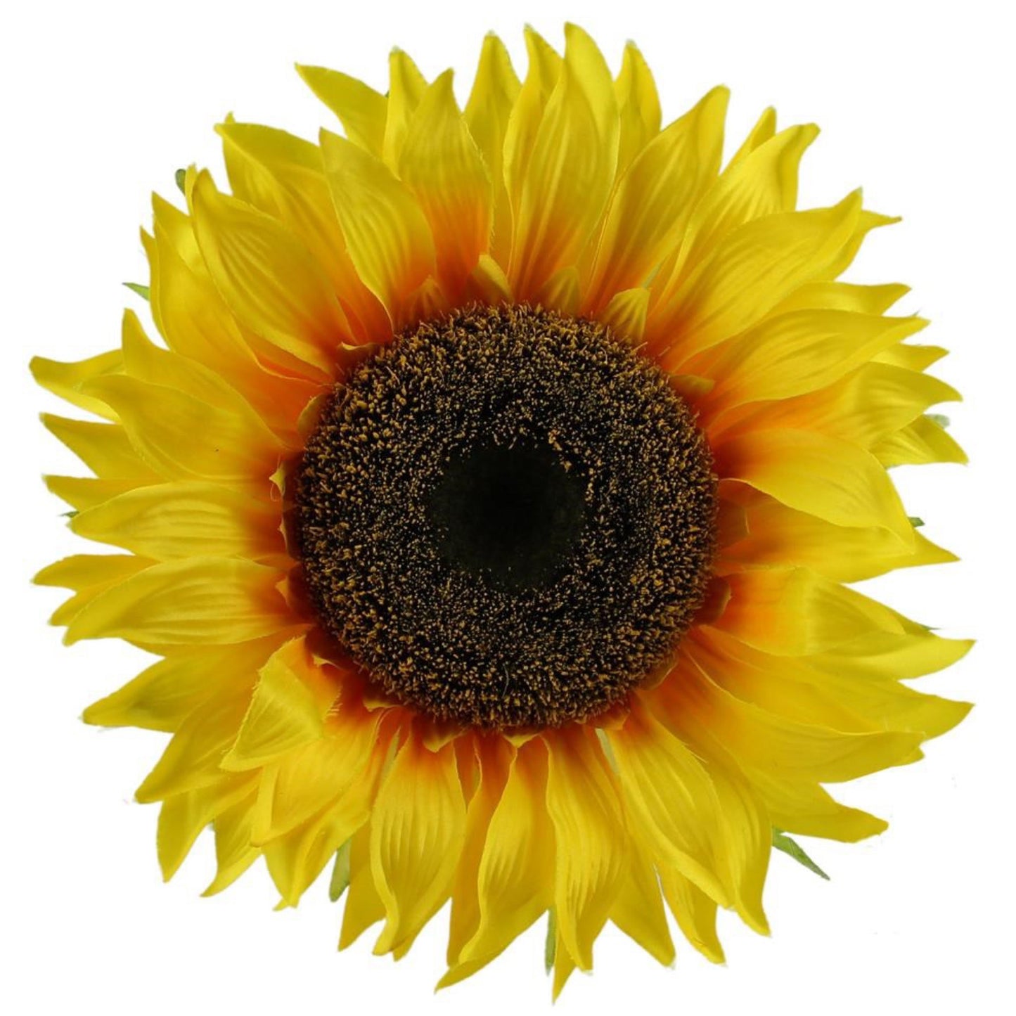 15 Dia Sunflower Head - CancreekDesigns