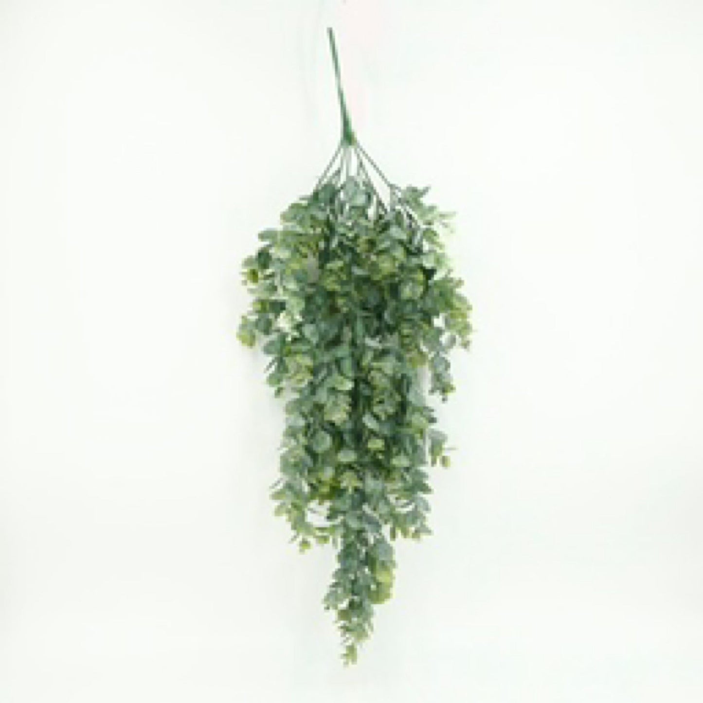 Baby Tear Drop Eucalyptus 30in - CancreekDesigns