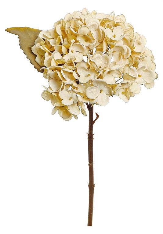 Select Artificials, Inc. - Dried Hydrangea Cutting,13", Candlelight - CancreekDesigns