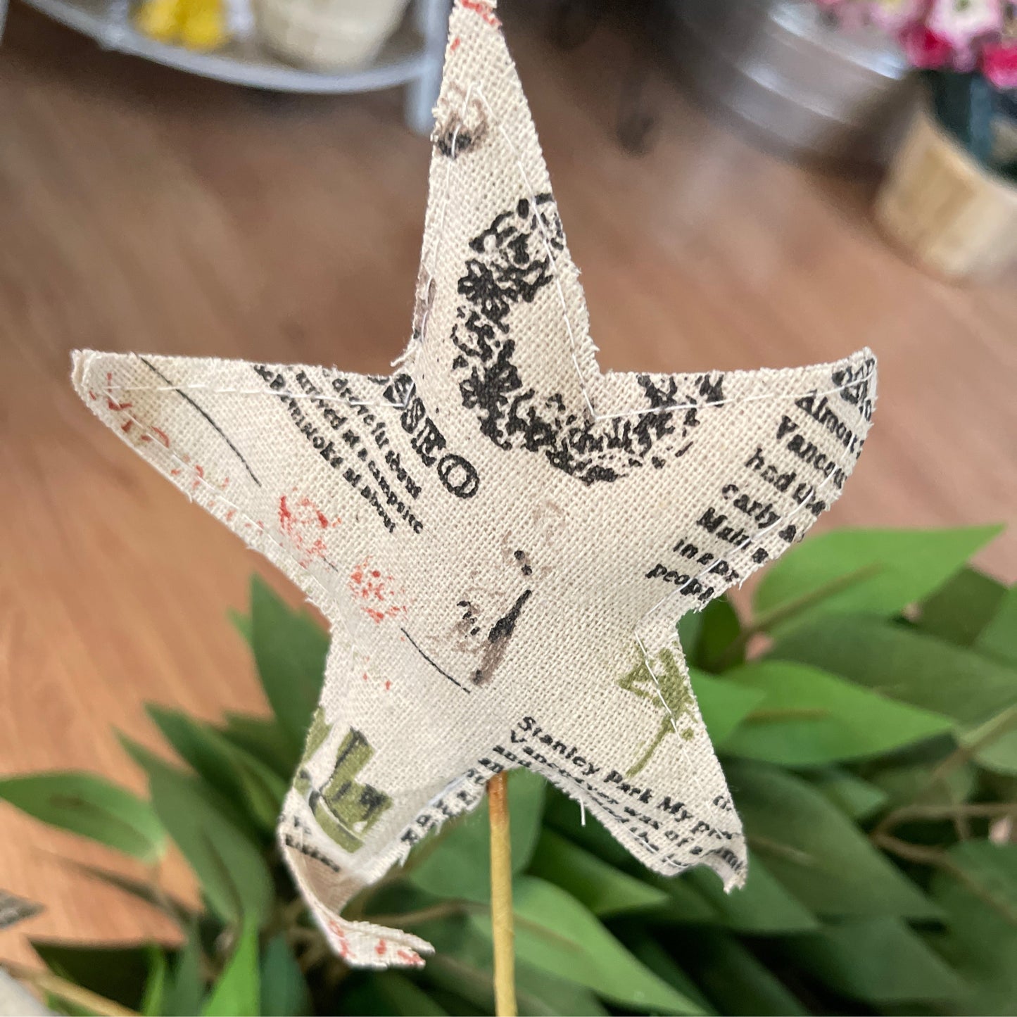 Star Spay Newspaper - CancreekDesigns