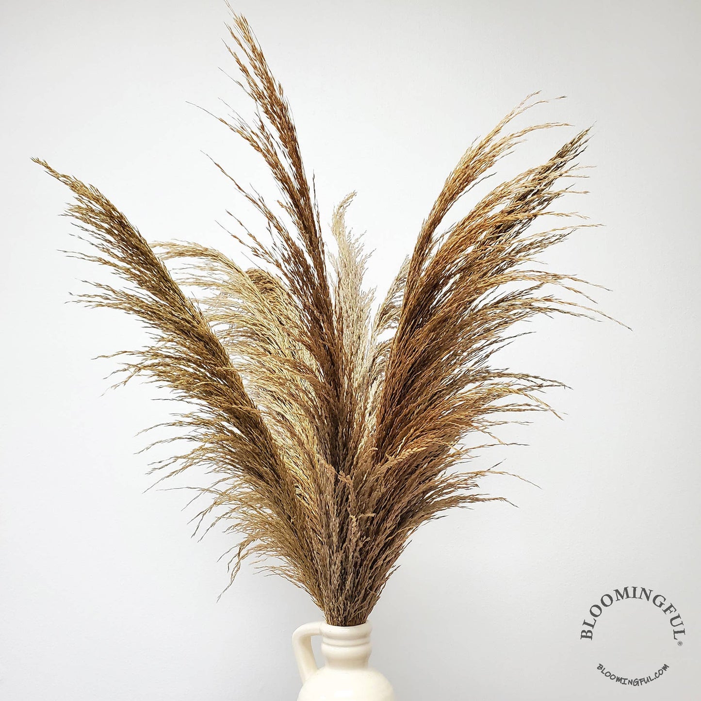 BLOOMINGFUL.COM - Silky Large Pampas (3ft) - Natural, Beige - CancreekDesigns