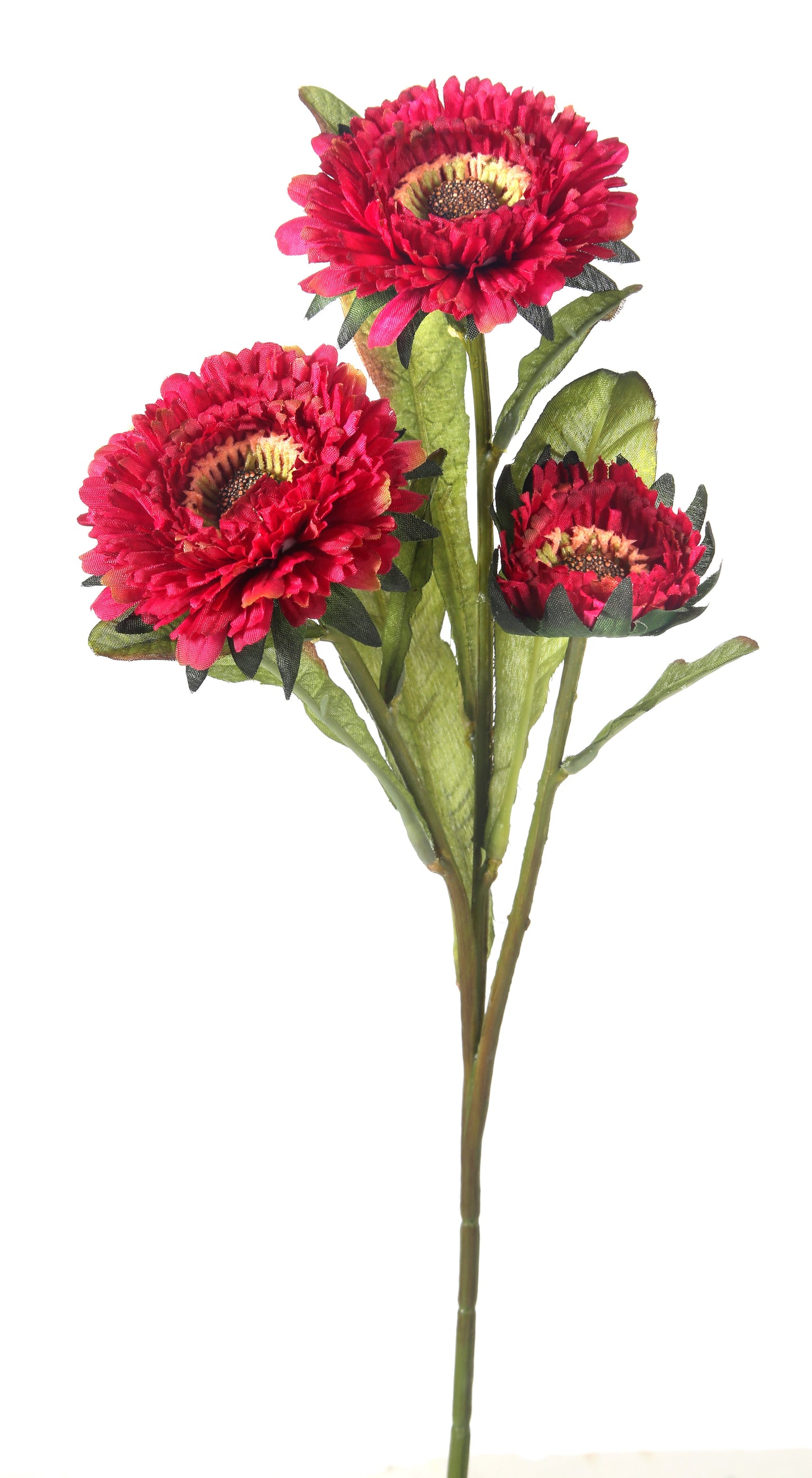 Aster Spray Orange - CancreekDesigns