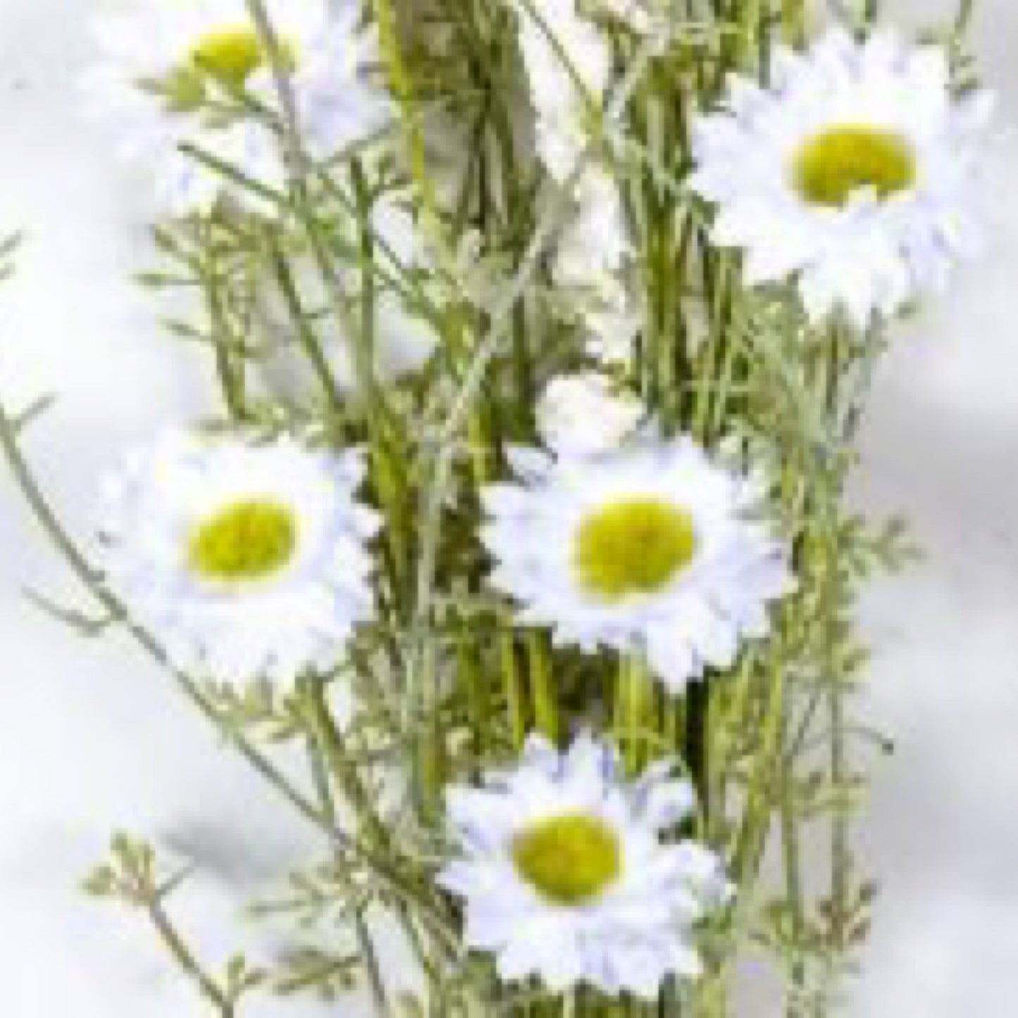 WILD FLOWER BOUQUET WITH PLASTIC GREENERY, 21 IN, HW, WHITE - CancreekDesigns
