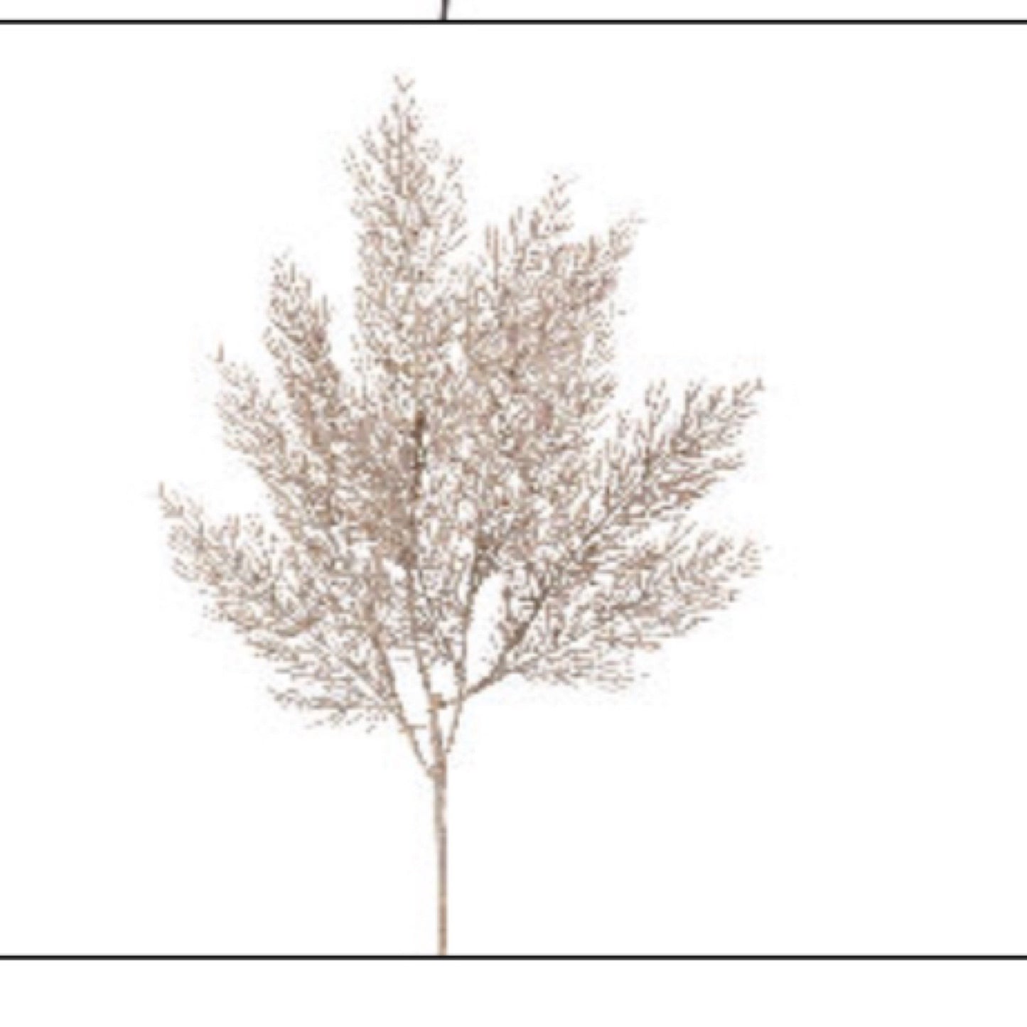 29” Cedar Spray - CancreekDesigns