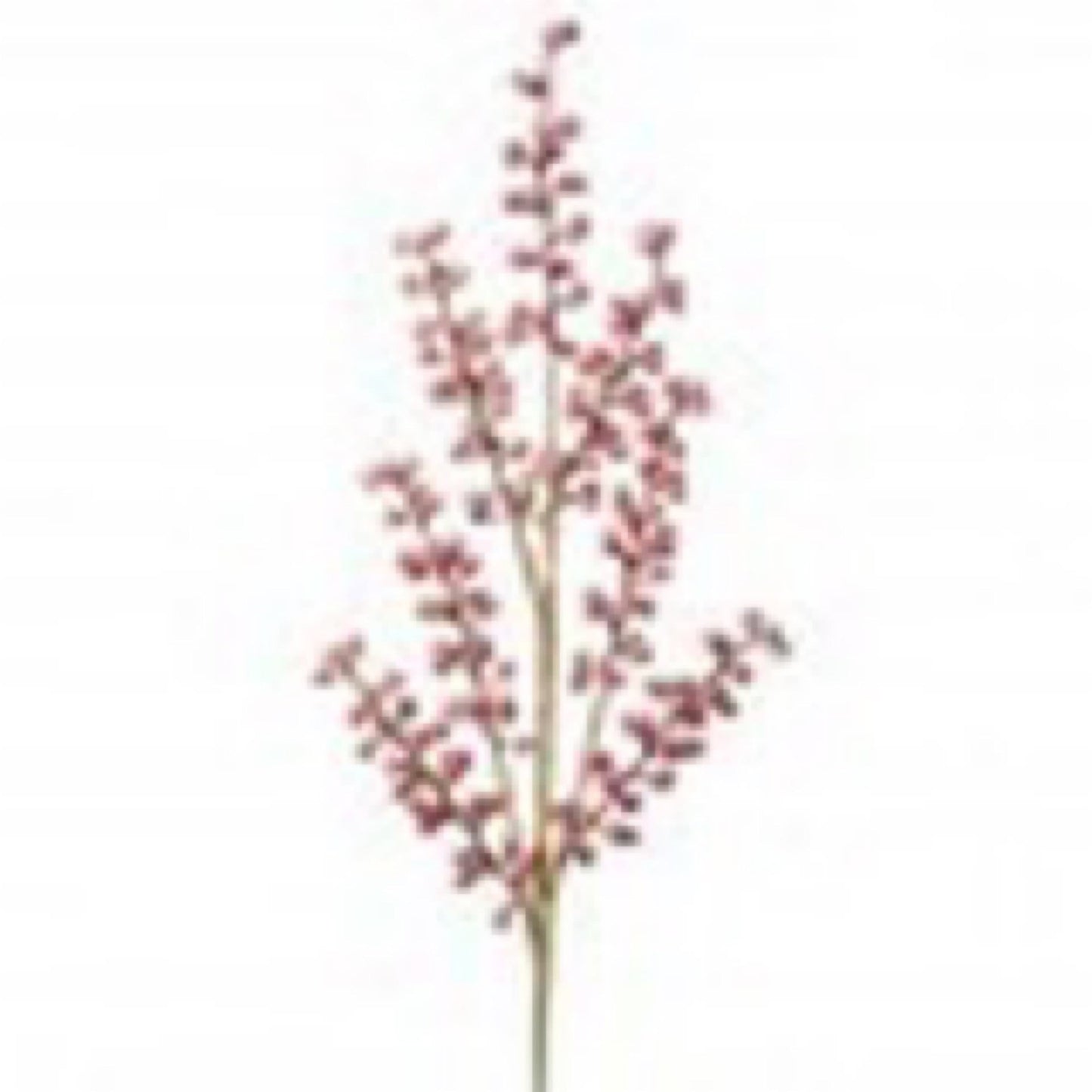 Easter berry spray pink - CancreekDesigns