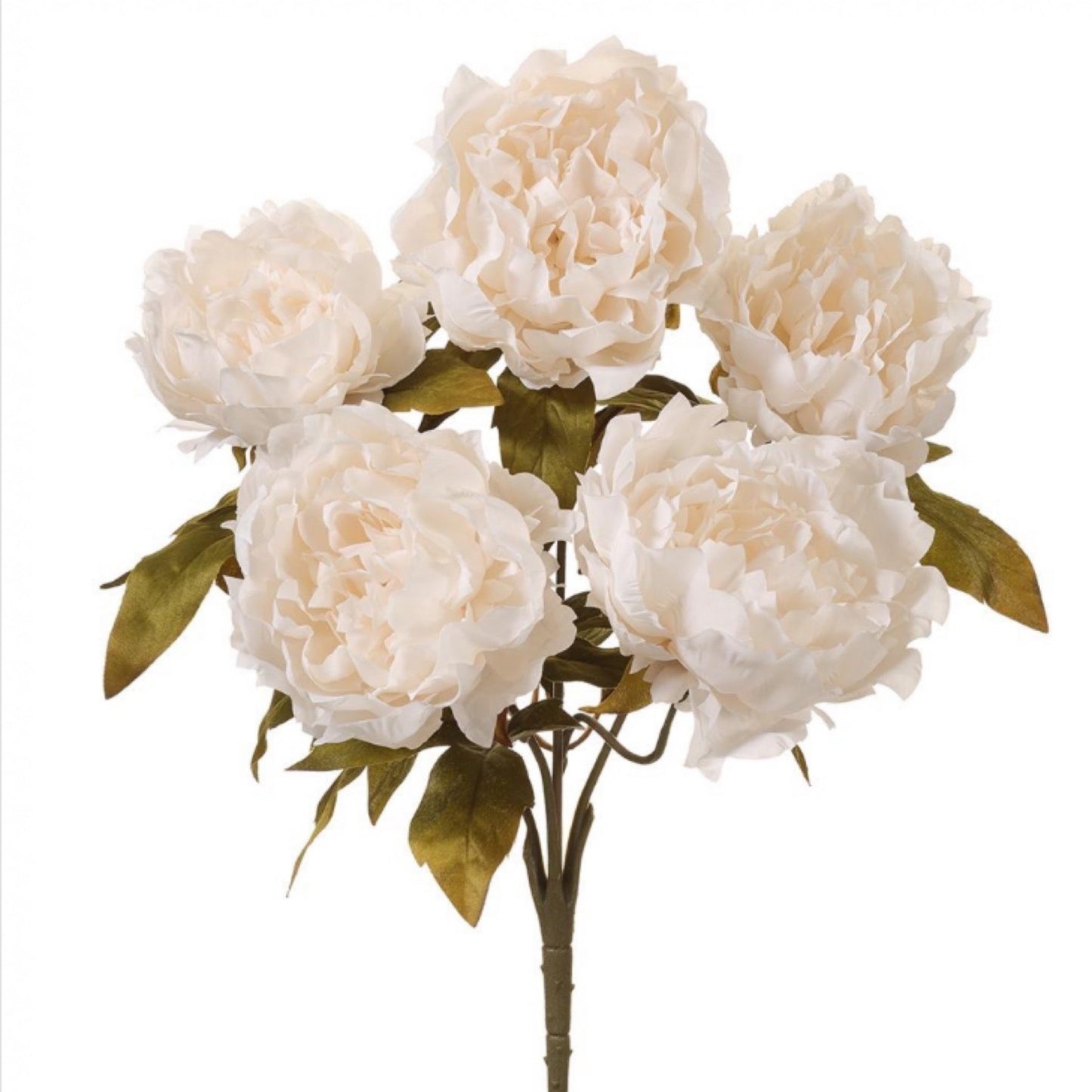 18" Peony Bush x5 Cream - CancreekDesigns