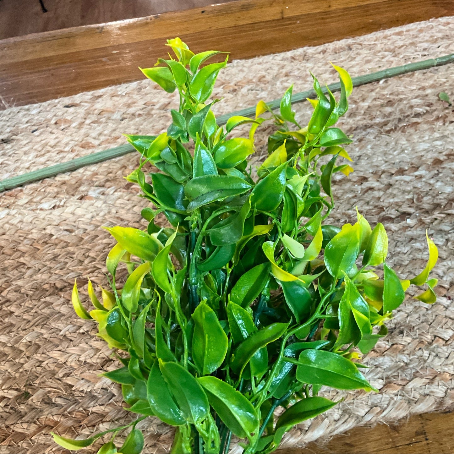 Greenery - CancreekDesigns