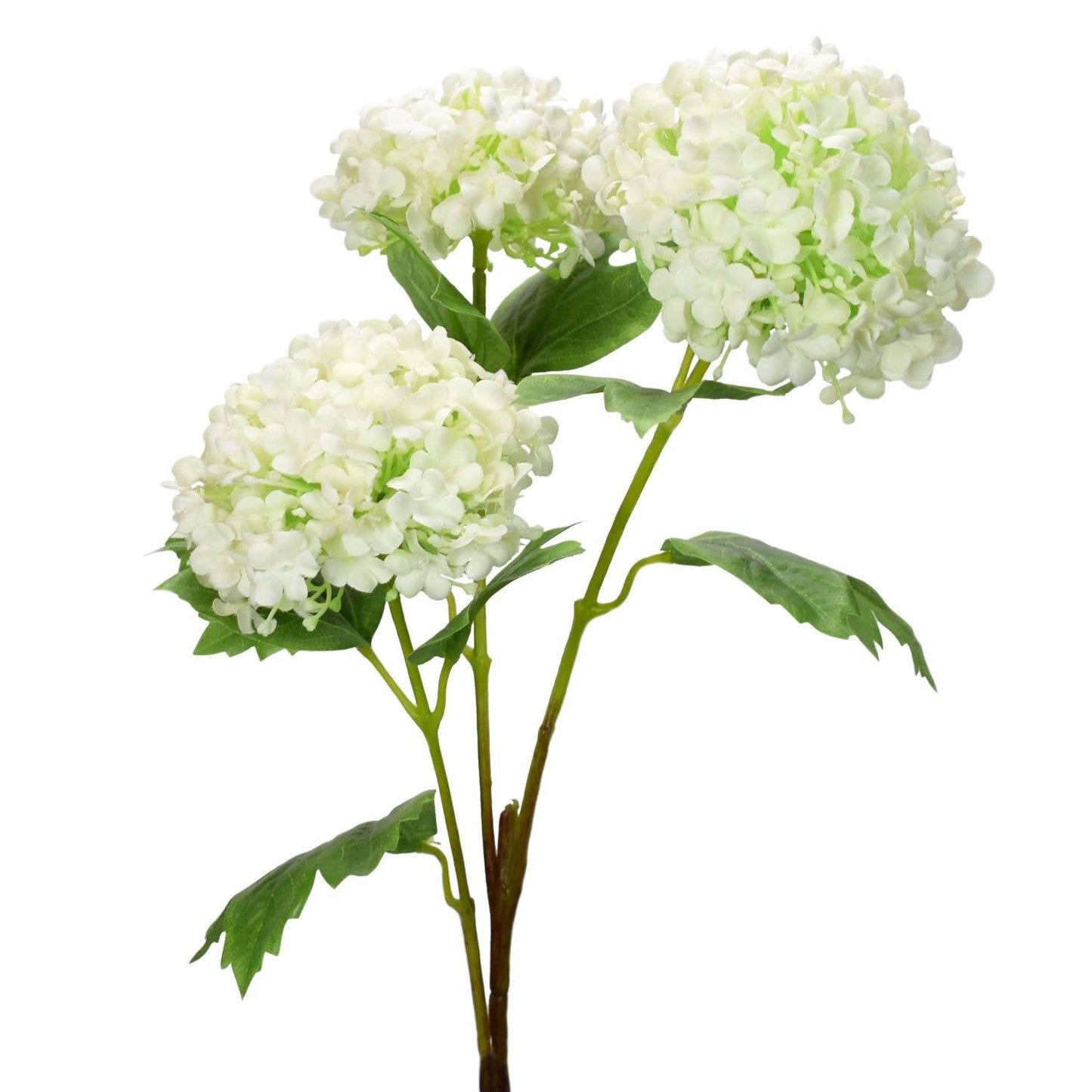 David Christopher's Collection - 33" Viburnum Spray x 3 - White - CancreekDesigns