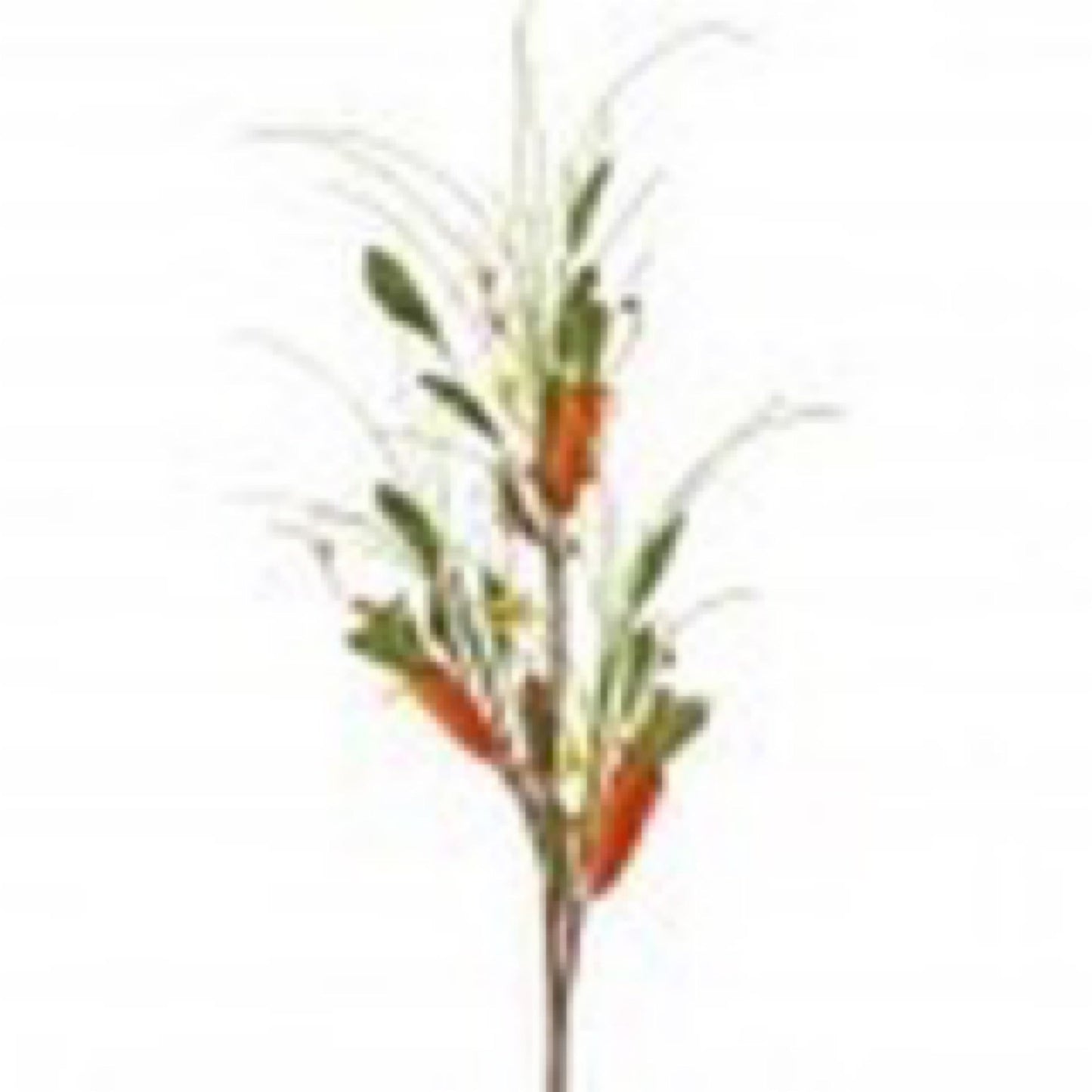 Wrapped carrot & pip berry spray - CancreekDesigns