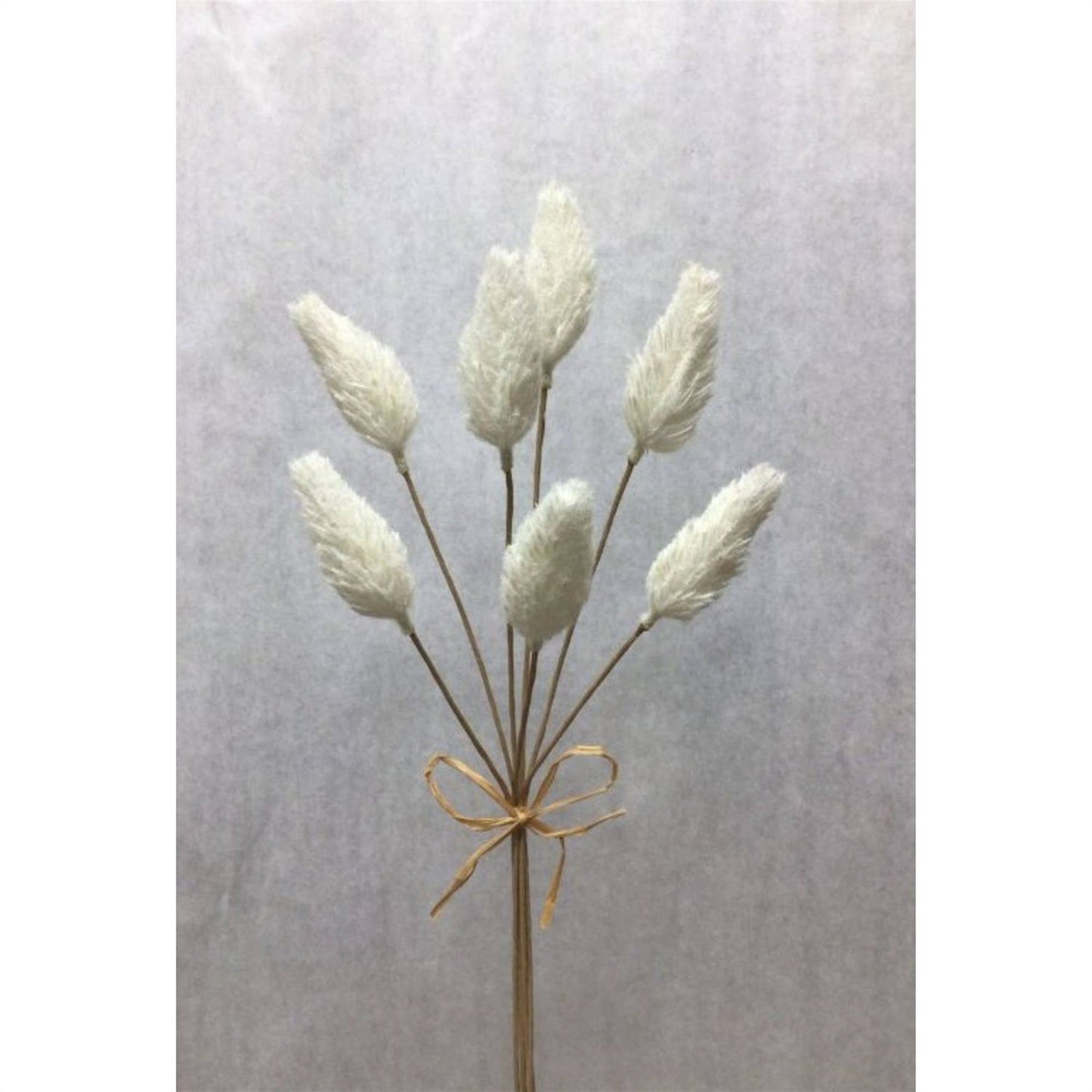 David Christopher's Collection - Amaranth Pick Bundle x 7 - White - CancreekDesigns