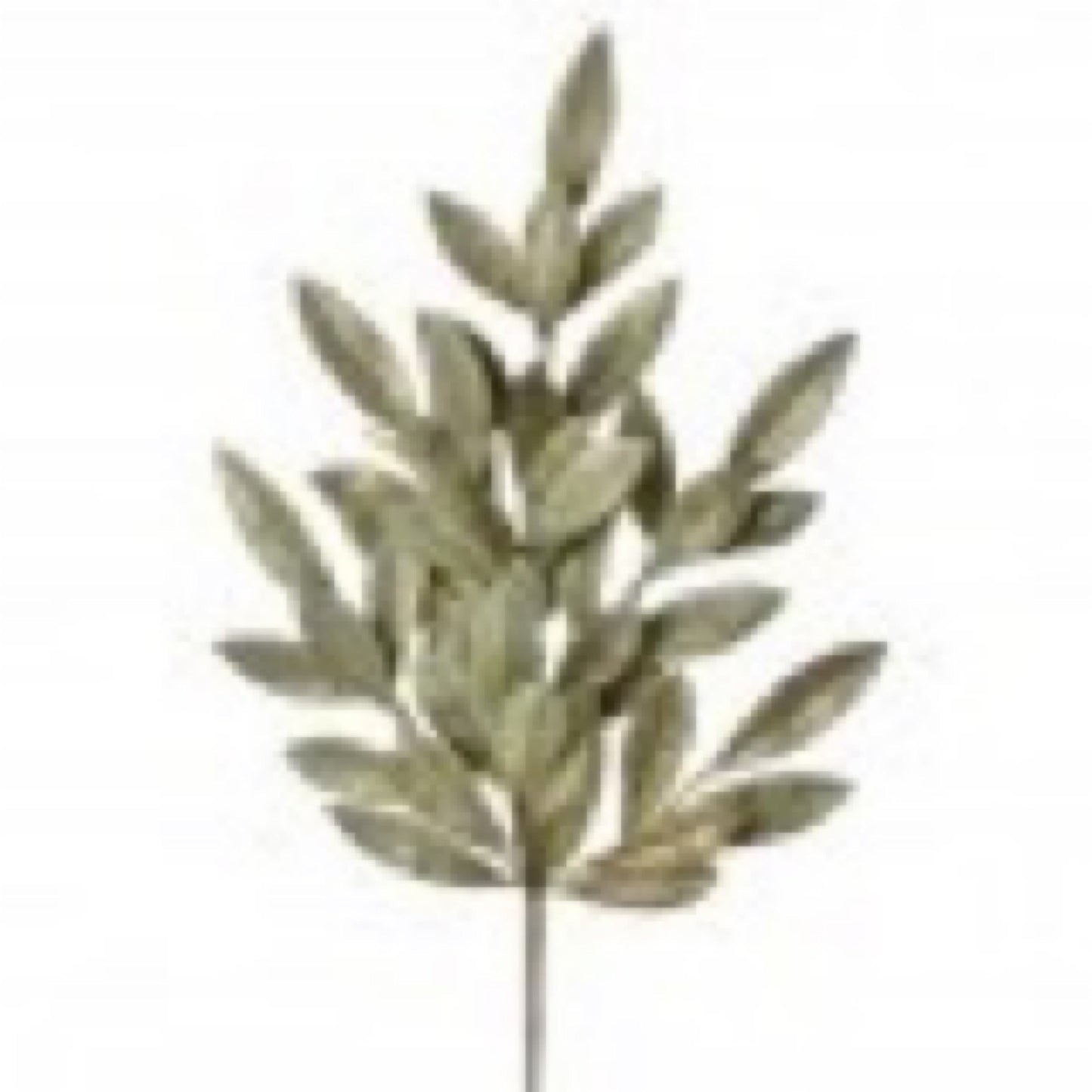 Ringgold plastic elegance Bayleaf spray - CancreekDesigns