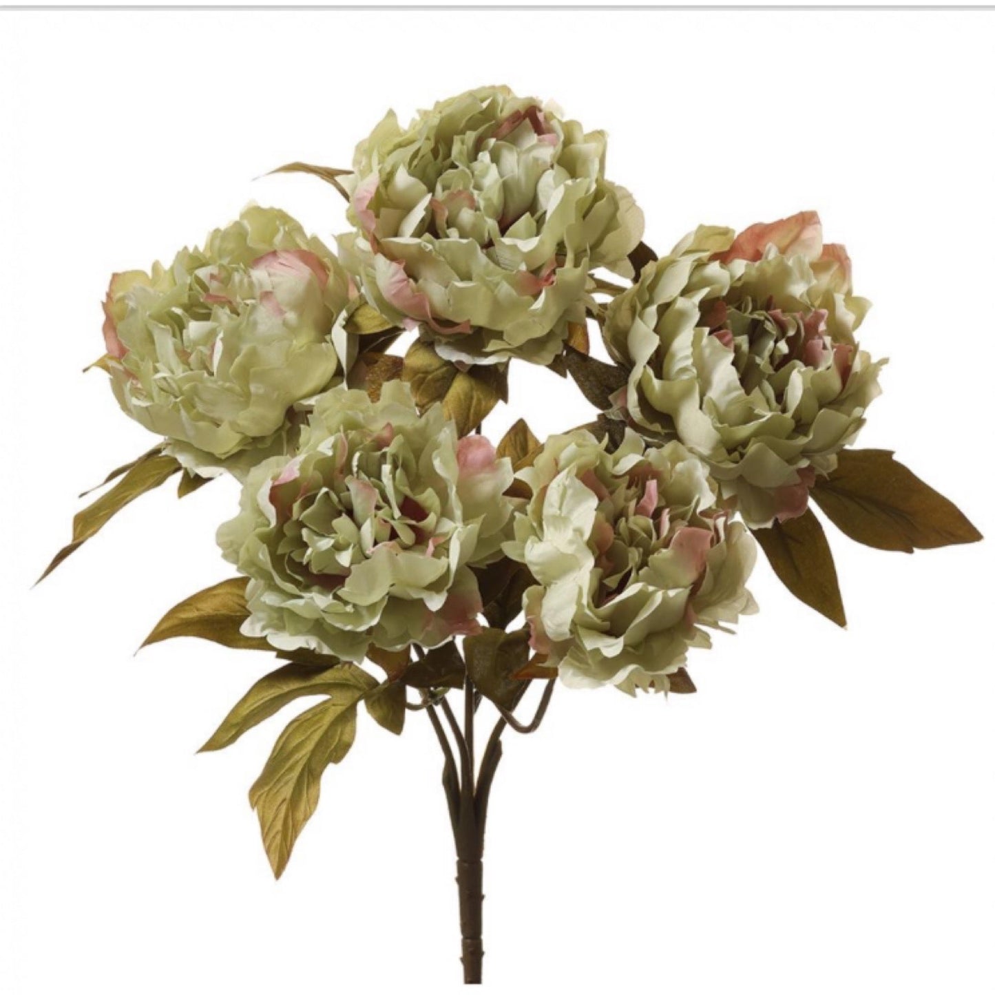 18" Peony Bush x5 Green - CancreekDesigns