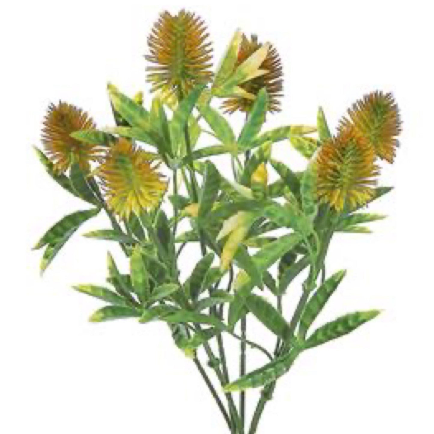 11” Orange Thistle Bush - CancreekDesigns