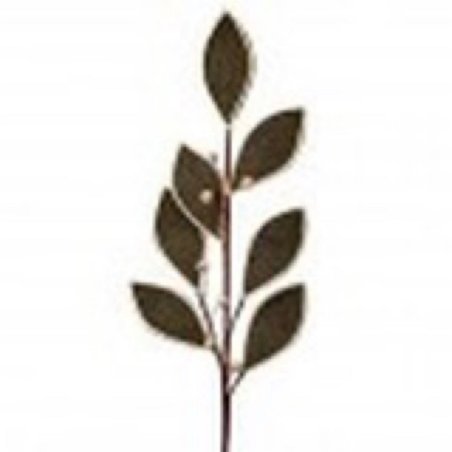 27" CORDUROY W/WOOD BEAD LEAF STEM - CancreekDesigns