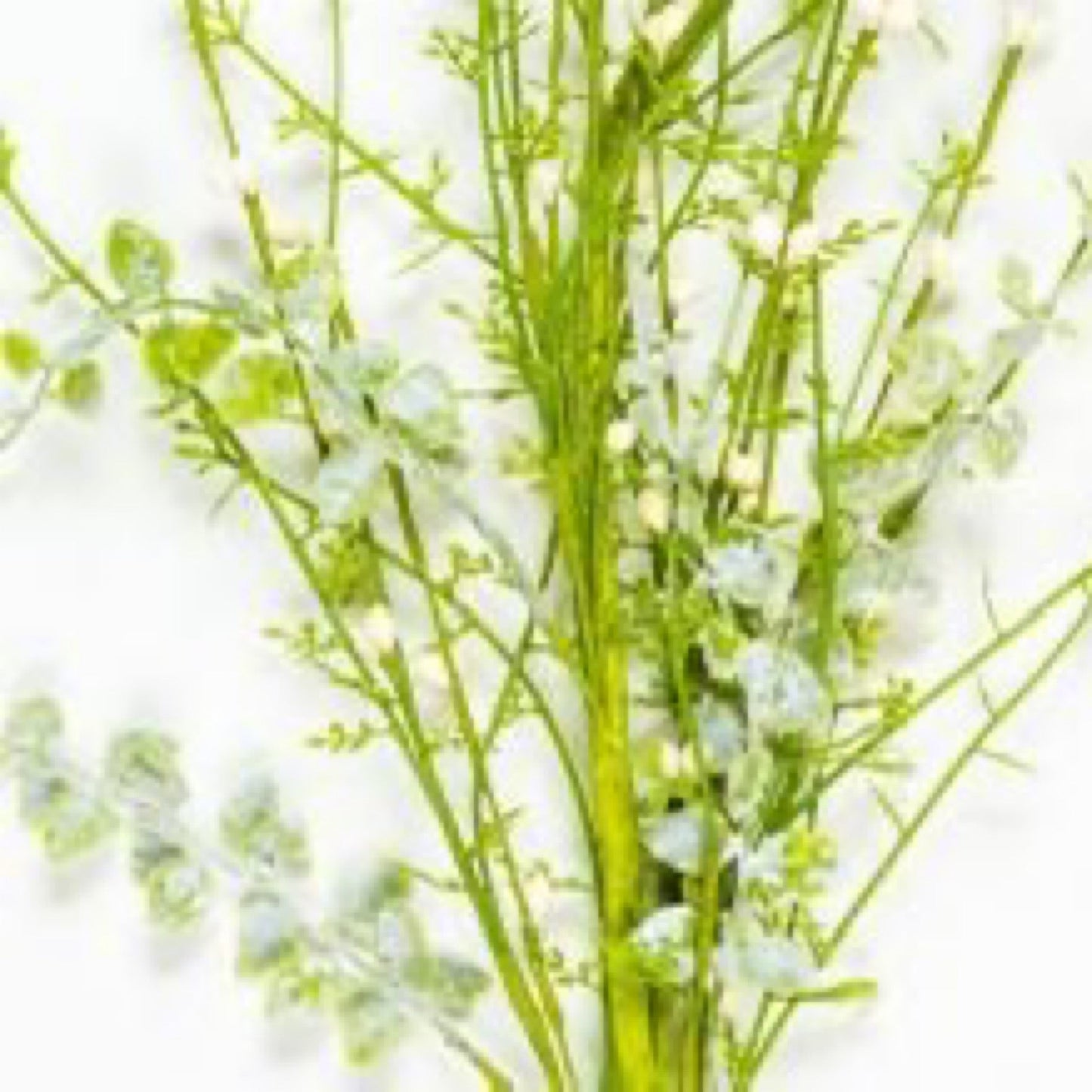 Rice berry spray 22” - CancreekDesigns