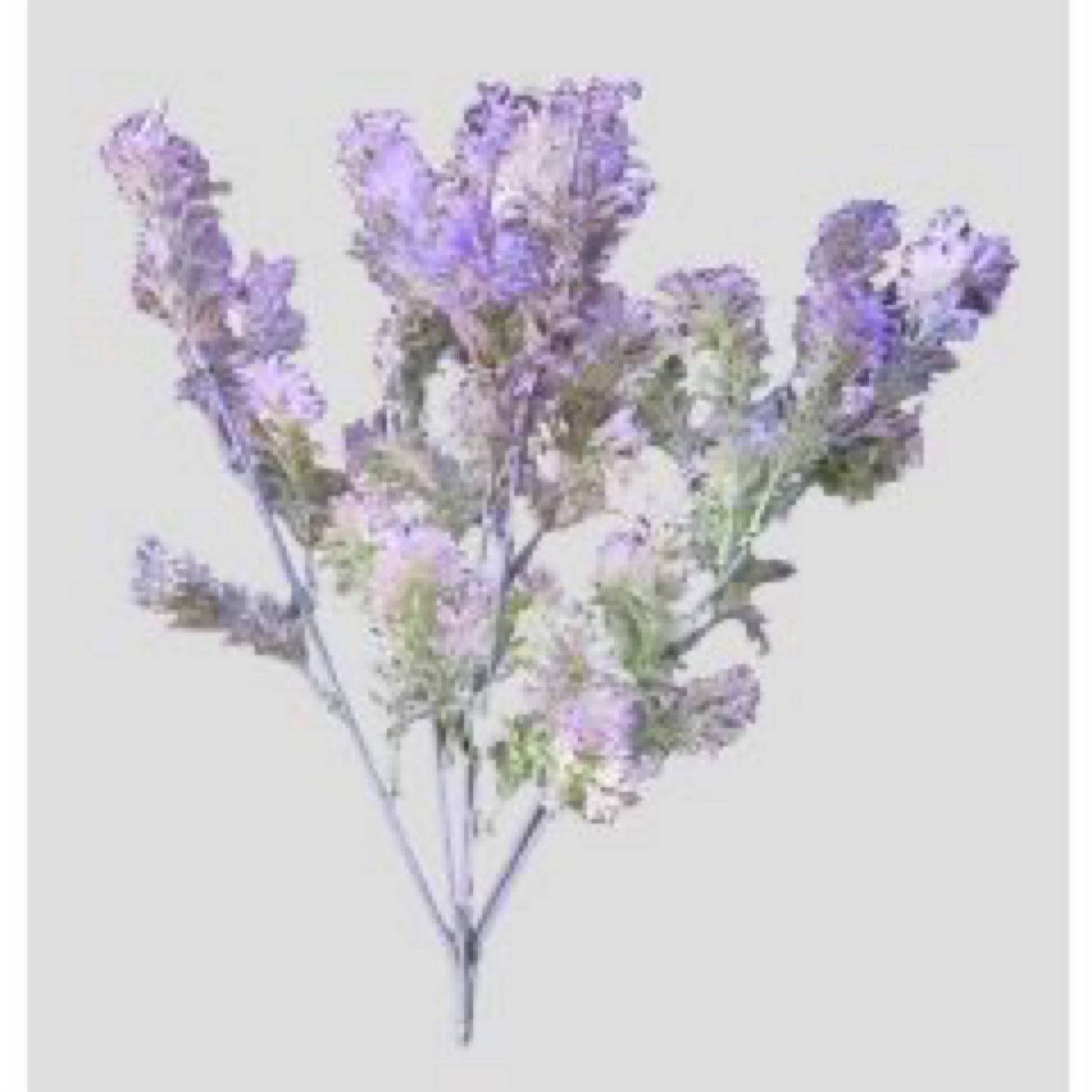 X6 Fennel 16" H - Purple - CancreekDesigns