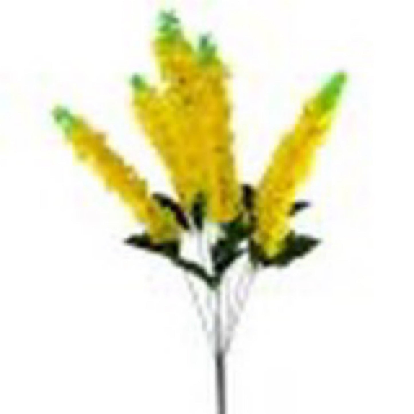 X7 Lilac Bush - Yellow - CancreekDesigns