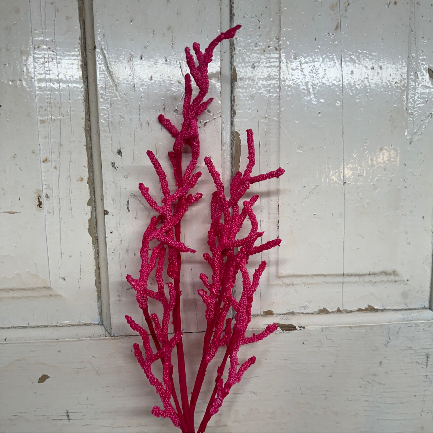 Fire Coral Spray Coral - CancreekDesigns