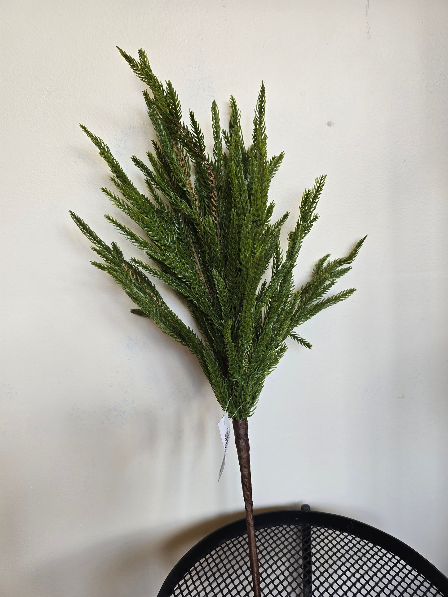 19"Real touch Norfolk pine stem/green