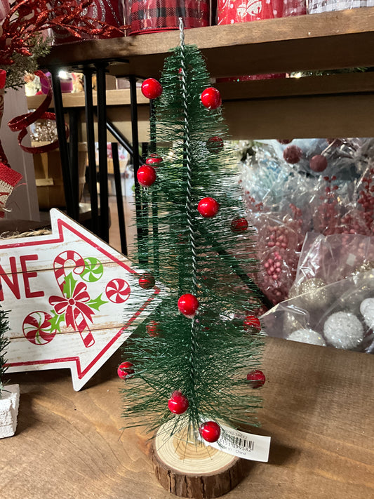 Bottle Brush Tree